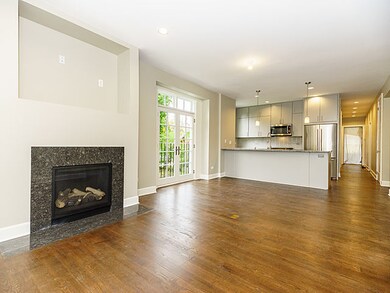 296 N Maple Ave unit 1, Elmhurst, IL 60126 - photo 3