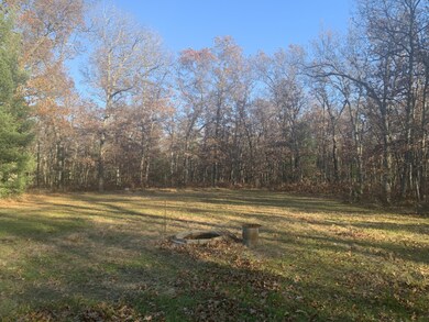 IMG-2571