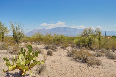 N Crooked Trail_6