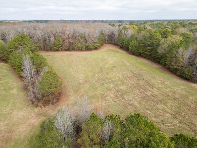 0 Jack Forrester Rd, Mantee, MS 39751 - photo 4