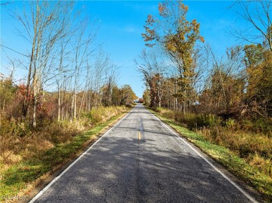 40 Bradley Brownlee Rd, Cortland, OH 44410 - photo 7