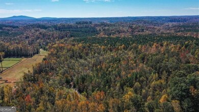 8205 Nicholson Rd unit LOT 1, Cumming, GA 30028 - photo 4