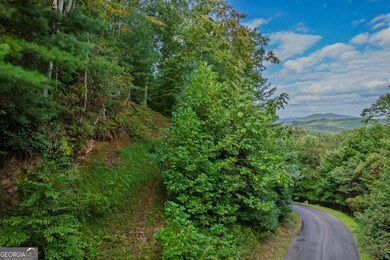 0 Dusty Danno Trail unit 25,27 10601098, Mineral Bluff, GA 30559 - photo 5