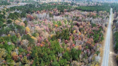 4 County Road 3122, McCool, MS 39108 - photo 7