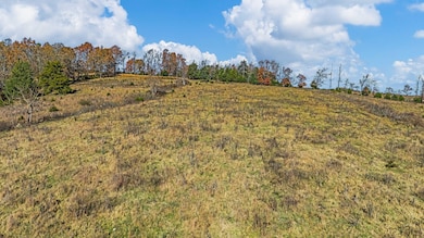 3156 Oregon County 219, Thayer, MO 65791 - photo 4