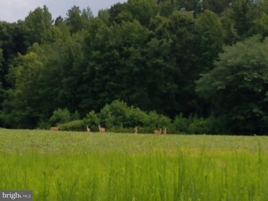 165 Mount Zion Cir, Centreville, MD 21617 - photo 2