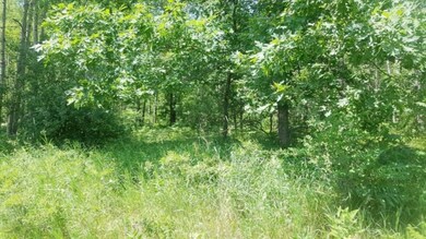 PAR A W 17 Mile Rd, Lilley Township, MI 49309 - photo 2