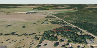 0 Wayne St unit 10654653, Louisville, GA 30434 - photo 6