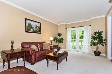 4408 Esquire Cir, Naperville, IL 60564 - photo 2