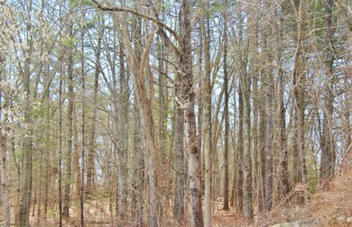 IMG_8610