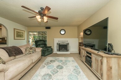Wood burning Fireplace