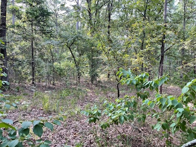 215P&Q Tram Trail, Moyers, OK 74523 - photo 4