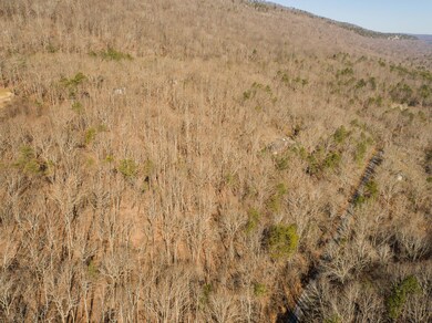 Powder Springs Lot - Photo -5