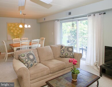 1100 Lore Ave unit 609, Wilmington, DE 19809 - photo 4