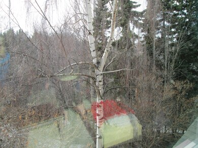 IMG_0008