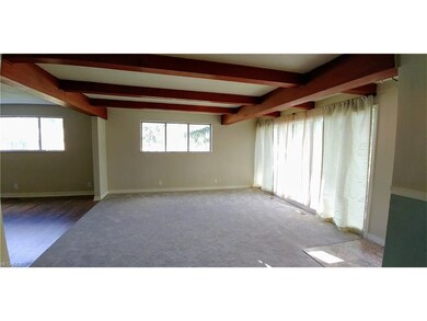 Living room- new carpeting