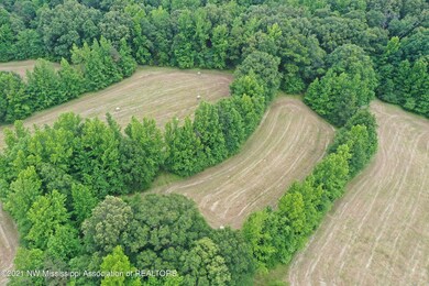 DJI_0344