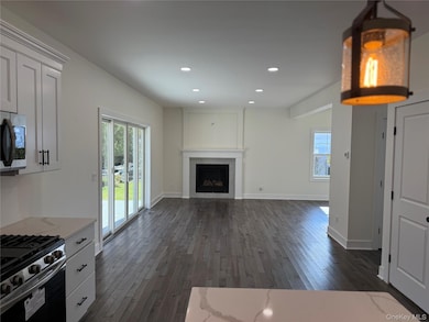 Kitchen with dark wood-type flooring, white cabinetry, stainless steel appliances, recessed lighting, and a fireplace