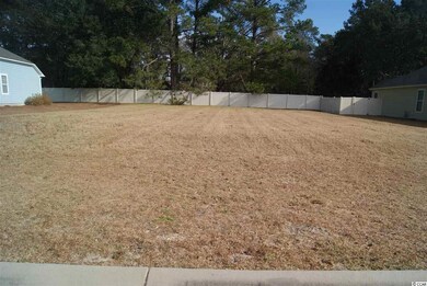 708 Tilly Pine Dr unit Lot 57 Rivers Edge P, Conway, SC 29526 - photo 4