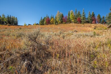 Lot 29 Two Moons, Big Sky, MT 59716 - photo 5