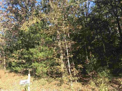 000 Bayview Heights, Heber Springs, AR 72543 - photo 2