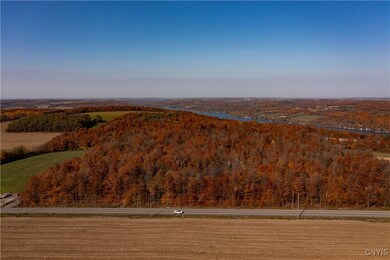 0 E Lake Rd unit S1631987, Skaneateles, NY 13152 - photo 3