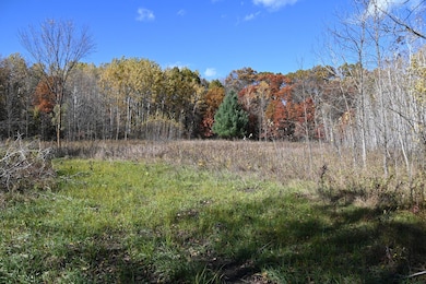 27727 Oberon Loop, Moran Township, MN 56438 - photo 5