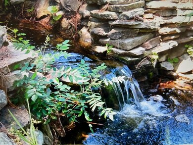 CREEK/WATER FEATURE