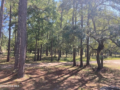 267 Watts Landing Rd, Hampstead, NC 28443 - photo 5