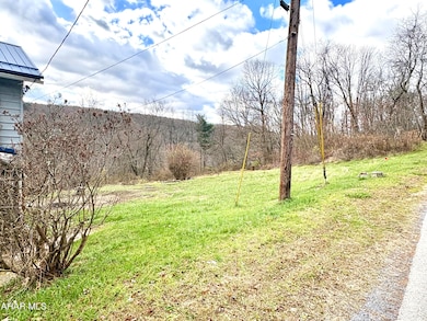 250 Clarion Rd, Cherry Tree, PA 15724 - photo 7