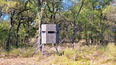 000 Bee Creek Rd, Grandview, TX 76050 - photo 5