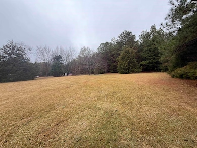 5163 Old Airport Rd, Winnsboro, SC 29180 - photo 4