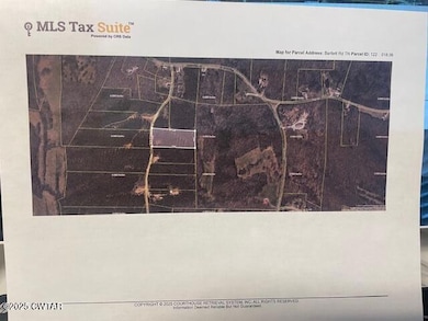 0 Bartlett Rd unit 2502351, Reagan, TN 38368 - photo 7