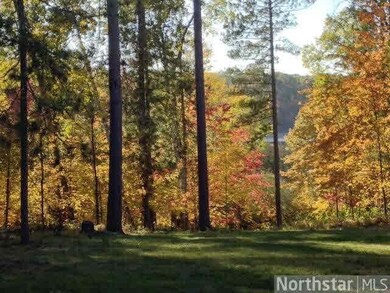 4403 Honey Tree Dr, Danbury, WI 54830 - photo 4