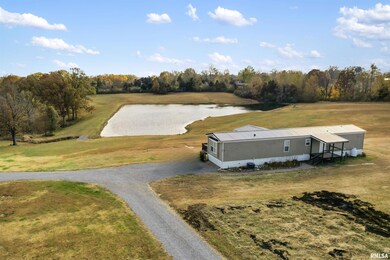 221 E Gore St, Goreville, IL 62939 - photo 2