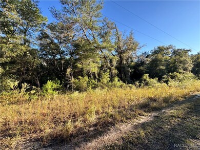 Road at Back of Property