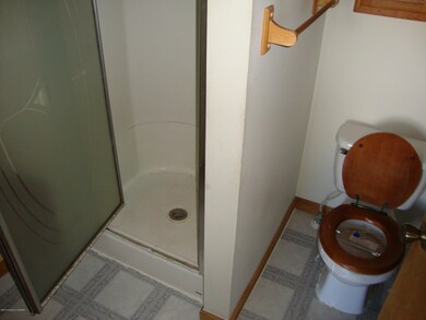 11 Sun Valley Dr, Drums, PA 18222 - photo 7