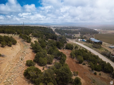 Birds eye view of property featuring a rural view