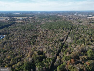 0 Cedar Grove Rd unit 10645353, Buckhead, GA 30625 - photo 6