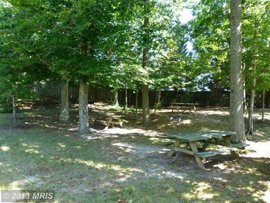 9274 Cardinal Forest Ln unit B, Lorton, VA 22079 - photo 6