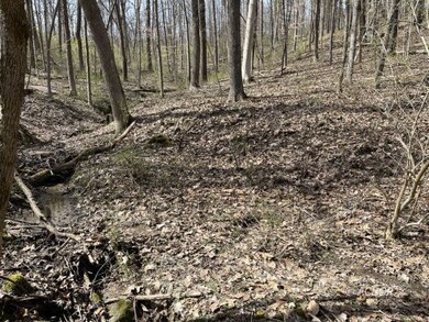 Wooded property