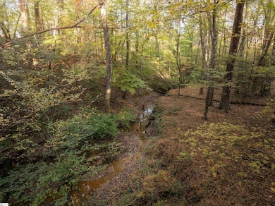 00 Dice Miller Rd, Moore, SC 29369 - photo 3