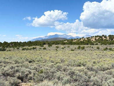 Mc Caskill Rd, Fort Garland, CO 81133 - photo 5