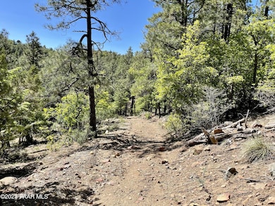 Property Easement Pic 2