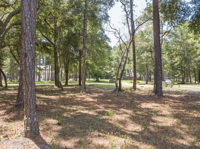 9136 E Bramshill Rd SW, Calabash, NC 28467 - photo 6