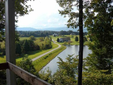 321 the Bear Blvd, Tamassee, SC 29686 - photo 4