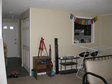 50 Meadow St unit 6, Amherst, MA 01002 - photo 3