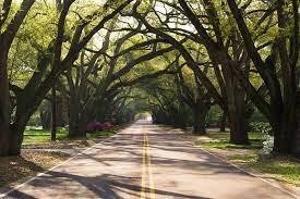 Aiken