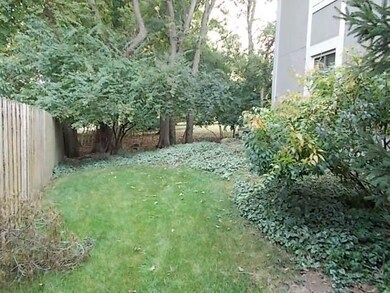 Side Yard View