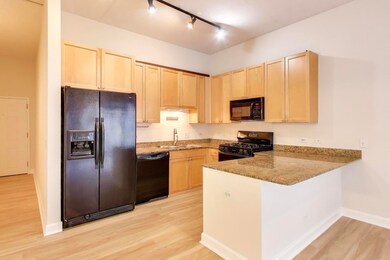 910 W Madison St unit 409, Chicago, IL 60607 - photo 5